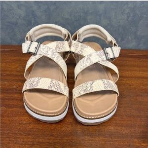 Women Lucky Brand Tamri Buckle Wedge Leather Strappy Snake Sandals size 10